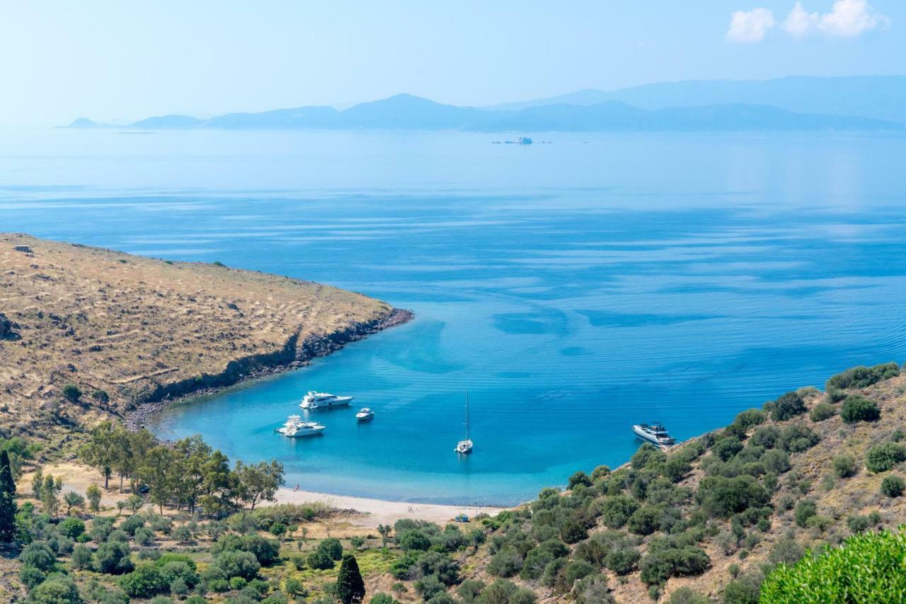 Thea Aegina Perdika (Aegina)